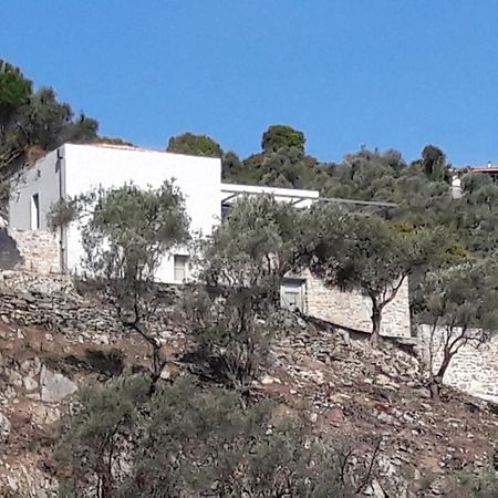 house λ Βίλα Moni Evaggelistrias Εξωτερικό φωτογραφία