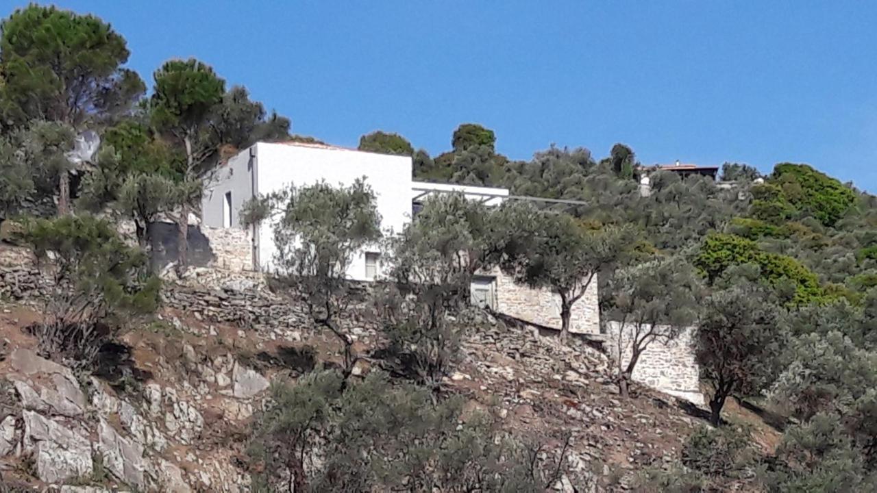 house λ Βίλα Moni Evaggelistrias Εξωτερικό φωτογραφία