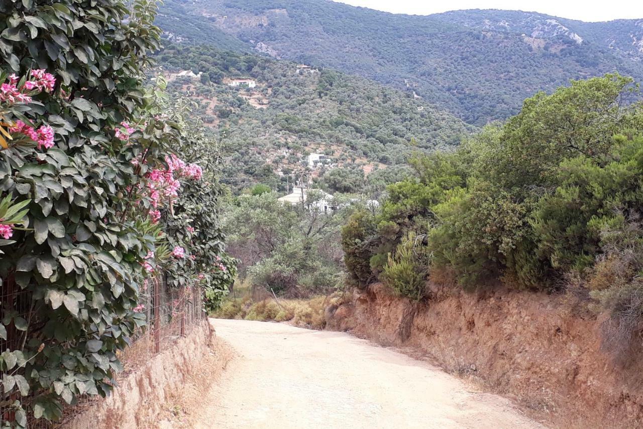house λ Βίλα Moni Evaggelistrias Εξωτερικό φωτογραφία